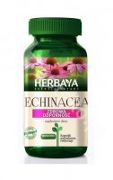 Herbaya Echinacea pr.odporność *60kaps.D