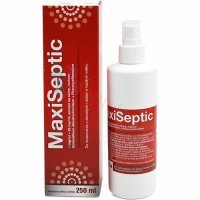 Maxiseptic, 1 mg/ml + 20 mg/ml, aer.na skórę,250 ml